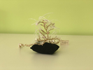 Image2106945.jpg_product_product_product_product_product_product_product_product_product_product_product_product_product_produ